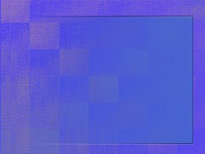 解惑竞价实例：专业人士的深度解析